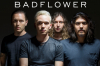 Badflower.jpg