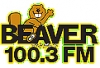 beaverlogo.jpg