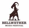 bellwethermusicfest.jpg