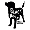 BlackDogMusicMarketing2015.jpg