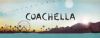 CoachellaUSETHISONE.jpg