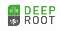 deeproot2020.jpg