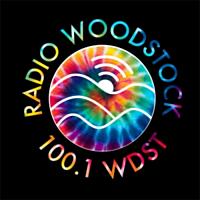 wdst-color-logo-2019-2021-09-22.jpg