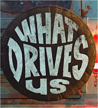 what-drives-us-2021.jpg